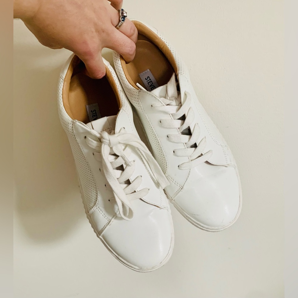 Steve Madden Sneakers